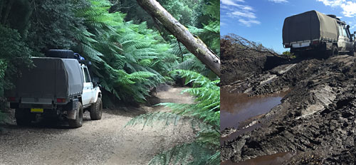 Dual Cab Landcruiser in Tasmania